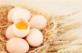 2023年低能量饮料市场投资前景分析 能量饮料市场前景半岛Bandao体育可观(图7)