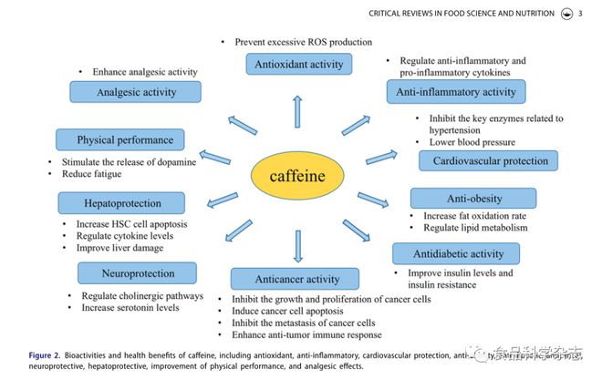 Crit Rev Food Sci Nutr：咖啡因的饮食来源、健康益处和风险(图3)