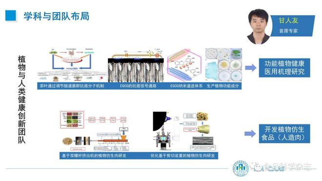Crit Rev Food Sci Nutr：咖啡因的饮食来源、健康益处和风险(图6)